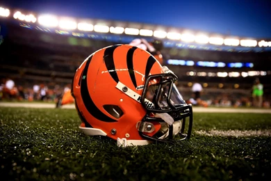 Cincinnati Bengals HD Wallpapers