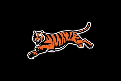Cincinnati Bengals HD Wallpapers