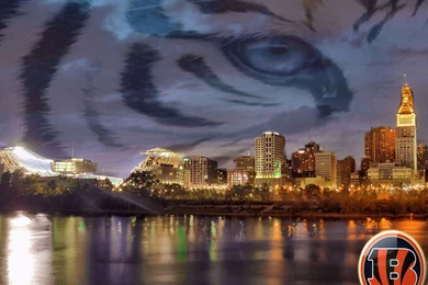 Bengals Wallpapers   Wallpapers Cave