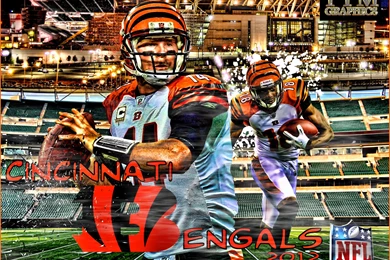 CINCINNATI BENGALS Nfl Football Wallpapers