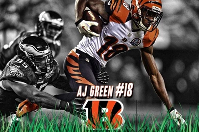 Desktop Wallpapers   Cincinnati Bengals