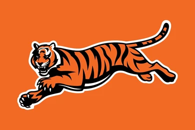 Bengals Logo Desktop Wallpapers 9448 1920x1080   UMad.com