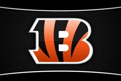 Cincinnati Bengals Fan WebsiteCIN Bengals