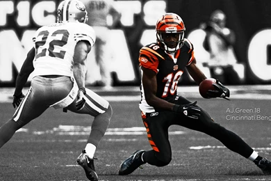 CINCINNATI BENGALS Nfl Football Y Wallpapers