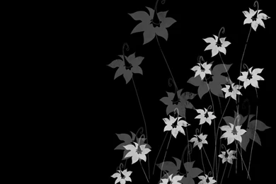 Floral Wallpapers With Black Backgrounds 24 Desktop Wallpapers ...