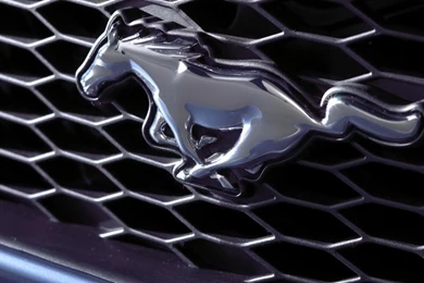 Ford Mustang Logo, Cars, 1920x1080 HD Wallpapers And FREE Stock Photo