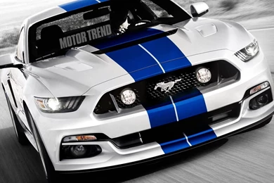 2016 Ford Mustang Gt350r Archives   Motorcarswallpaper.com