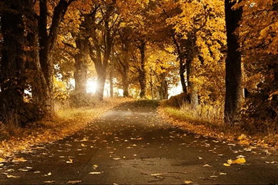 Full Hd Wallpapers 1366×768 – New Blog