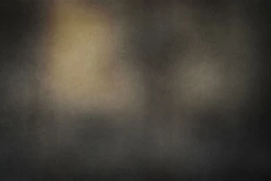 Wallpapers Metallic 2015   Grasscloth Wallpapers