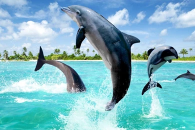 Shayari Urdu Images,urdu Shayari With Picture,urdu Shayari ...