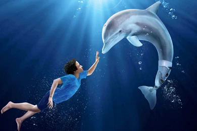 2014 Dolphin Tale 2 Wallpapers Stock Photos