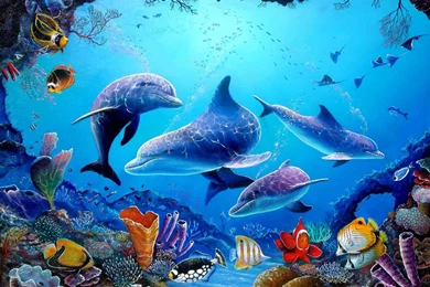 Dolphin Wallpapers 3d   Wallpapers