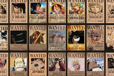 One Piece Wallpapers 1280x800 One Nico Robin Luffy Zoro   (