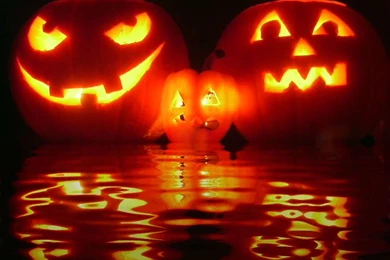 Halloween Backgrounds And Codes For Any Blog, Web Page, Phone Or ...