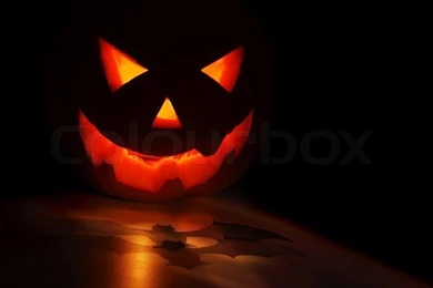 Nice Halloween Pumpkin On The Black Backgrounds