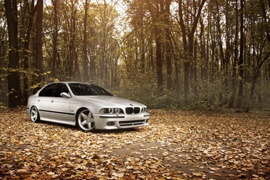 Download Wallpapers Bmw, M5 E39, Stance Works, Fall, Leaves, Forest ...