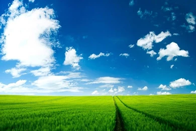 Free Wallpapers   Free Nature Wallpapers   HD Landscape 2 Wallpapers ...