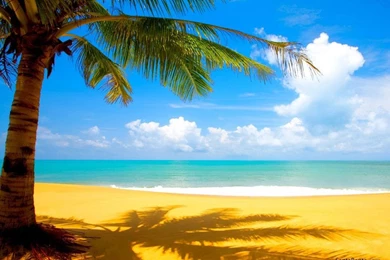 Free Download Beaches HD Wallpapers