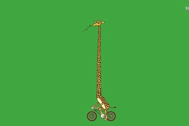 Biking Giraffe Wallpapers   Funny Wallpapers