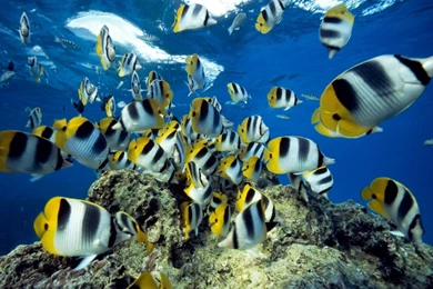 18354_1280x1024 wallpaper cb1271170207.jpg