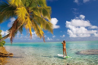 Wallpapers Stand Up Paddle: BIC Sport SUP