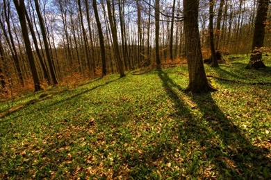 Greenland Wallpapers By JoInnovate On DeviantArt