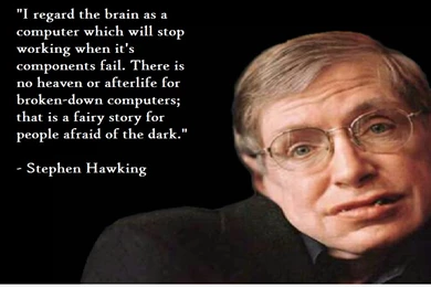 Brain Quote Stephen Hawking 204 Quotes HD Desktop Wallpapers