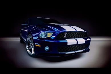 2010 Ford Shelby GT500