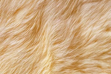 Wallpapers For Iphone On Pinterest