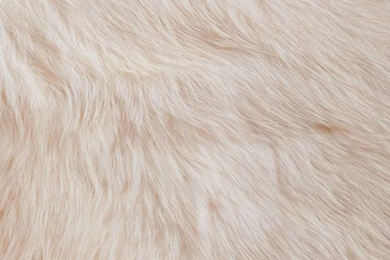 Fur Backgrounds For IPhone.