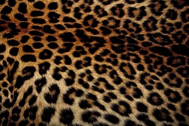 Startseite   UltimateWalls Von BLUE BOX   Productions, Wallpapers ...