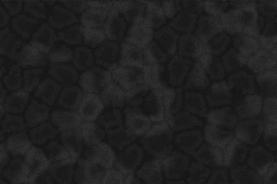 Wallpapers   FUR By Chiwou   Customize.org
