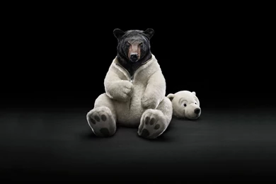 Fur Coat Wallpapers, Desktop Wallpapers » GoodWP.com