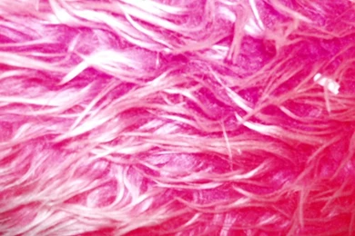 Pink Fur By ElectraSinclair On DeviantArt