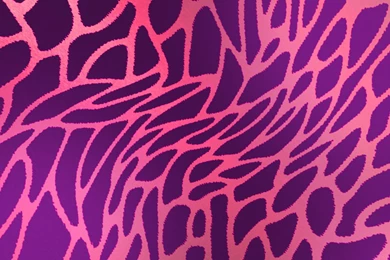 Pink And Purple Leopard Fur Wallpapers   Digital Art Wallpapers ...