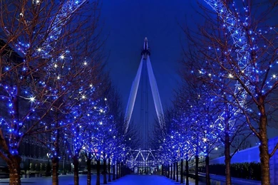 Wallpaper: Store Wallpapers London