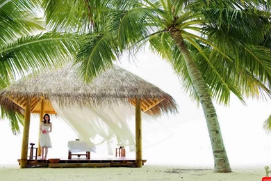 Beautiful Nature HD Wallpapers Free Download ~ Bollywood HD ...