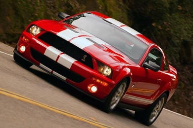 Mustang Wallpapers   Mustangs Wallpapers (6411232)   Fanpop