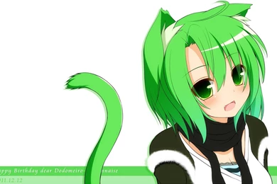 Tails Nekomimi 2560×1600 Wallpapers 1721368