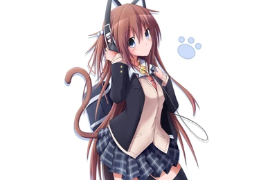 NEKO CHAN WALLPAPER   (