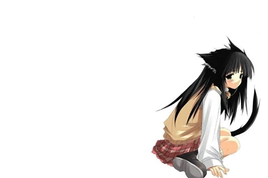 Animal Ears Nekomimi Simple Backgrounds Wallpapers   (