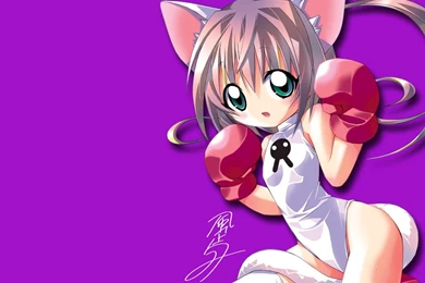 Download Nekomimi Boxing Wallpapers 1280x1024