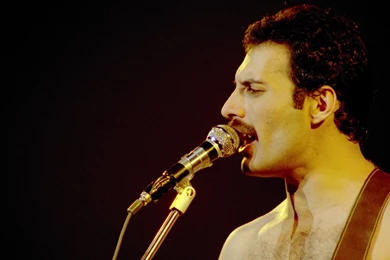 Queen Freddie Mercury Singers Music Band Rip Musicians