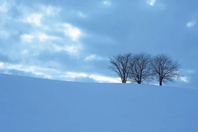 Snow Desktop Backgrounds Wallpapers