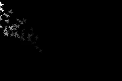 Black And White Flowers Wallpapers HD