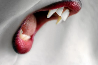 True Blood HD Wallpapers0.jpg