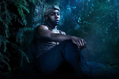 True Blood Wallpapers   Nelsan Ellis Wallpapers (29293632)   Fanpop