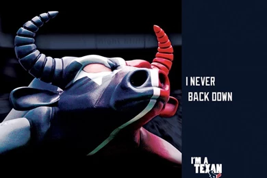 iPad Wallpapers With The Houston Texans Team Logos