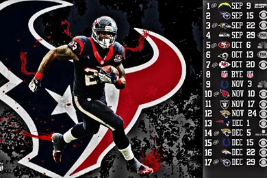 Houston Texans Hdr Sports