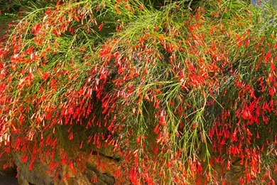 Nature Wallpapers, Hd Landscape Images, Wallpapers Of Nature ...